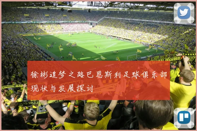 徐彬追梦之路巴恩斯利足球俱乐部现状与发展探讨