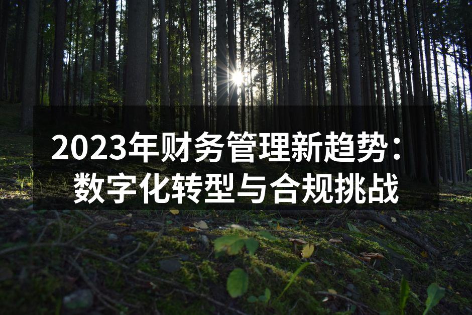 2023年财务管理新趋势：数字化转型与合